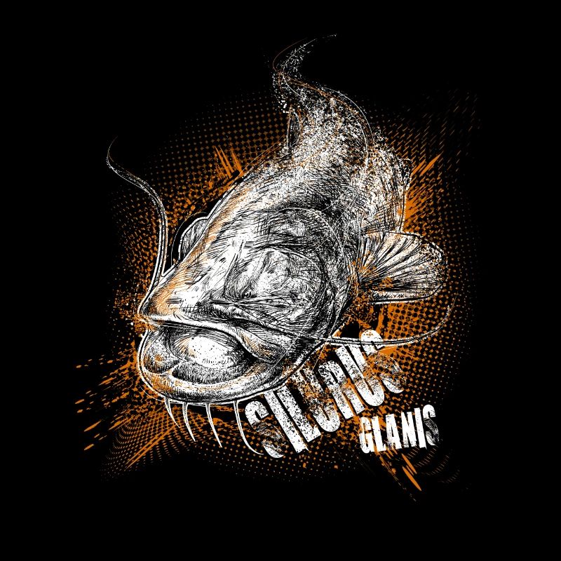 Wels - Silurus glanis