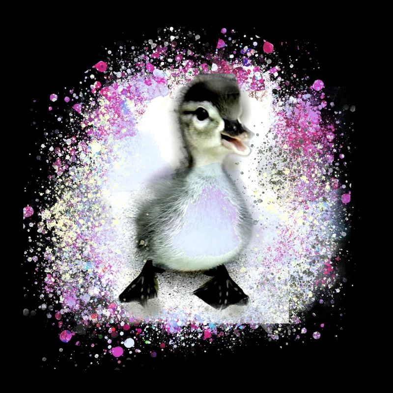 canard, canard, poussin,graffiti,rose,bébé