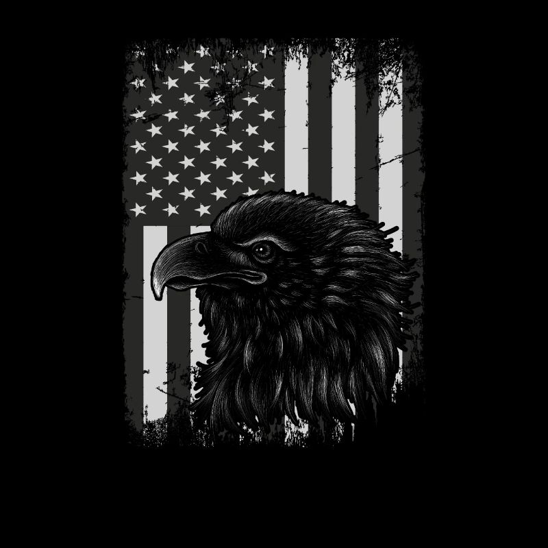 U.S. flag American Power July 4