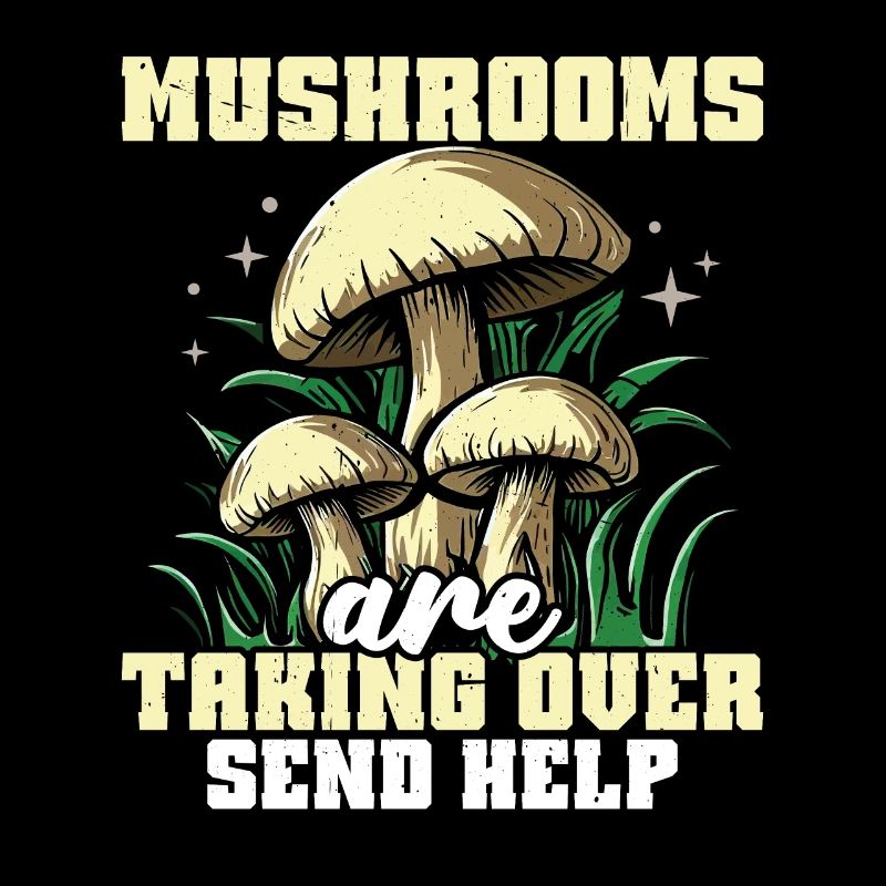 Mushroom hunting places that conquer mushrooms