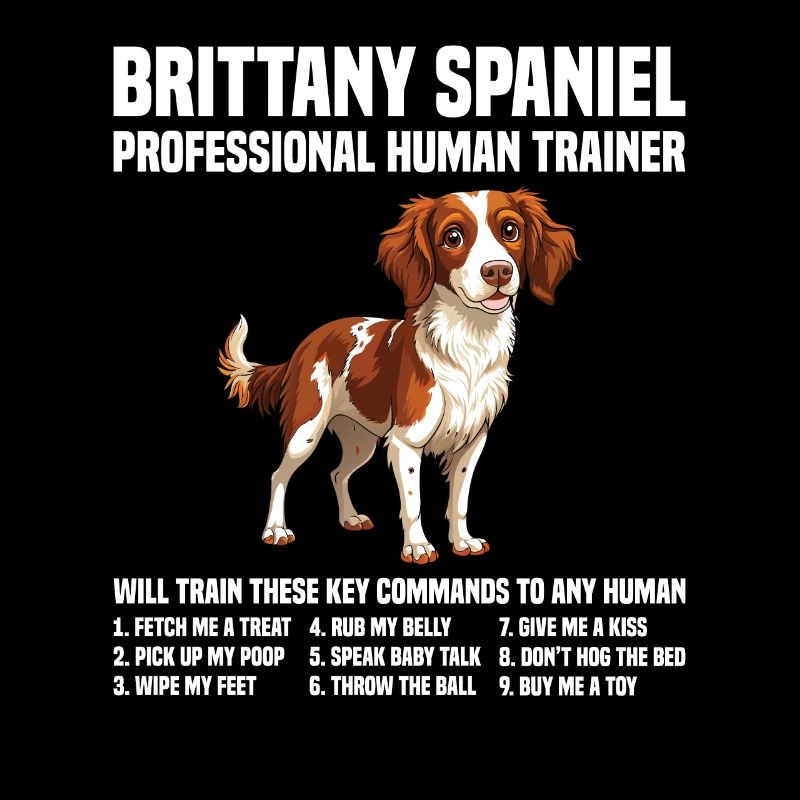 Dog Brittany Spaniel Professional Human Trainer