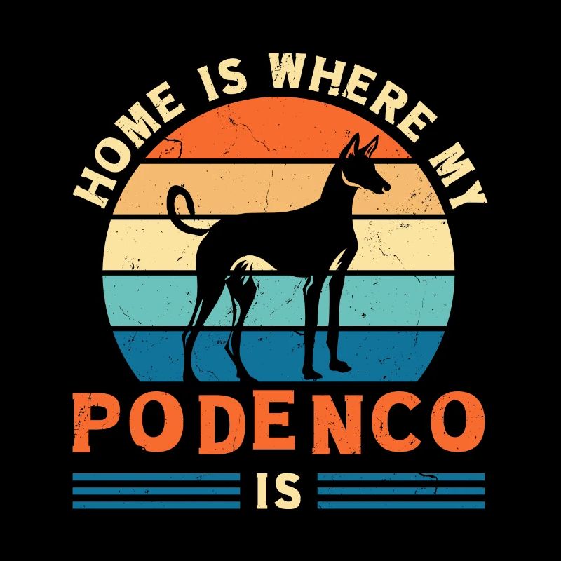 Podenco chien Ibizan Hound