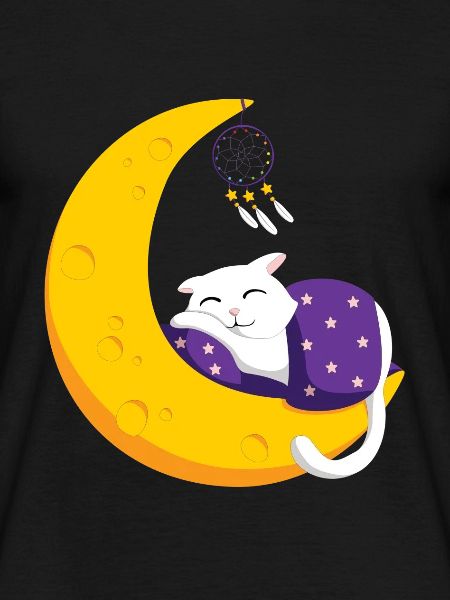 Sleeping cat moon