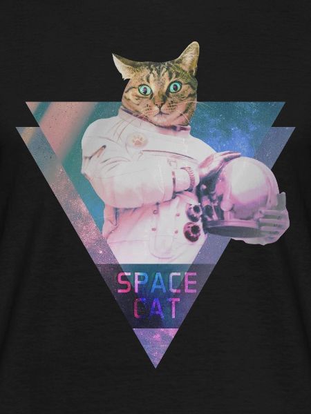 SPACE CAT