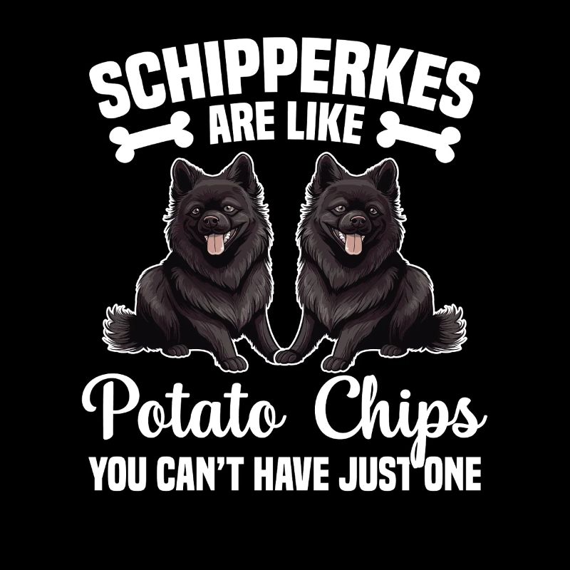 Les Schipperkes sont comme des chips que vous