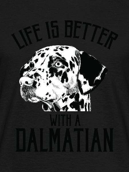 Dalmatian Dog