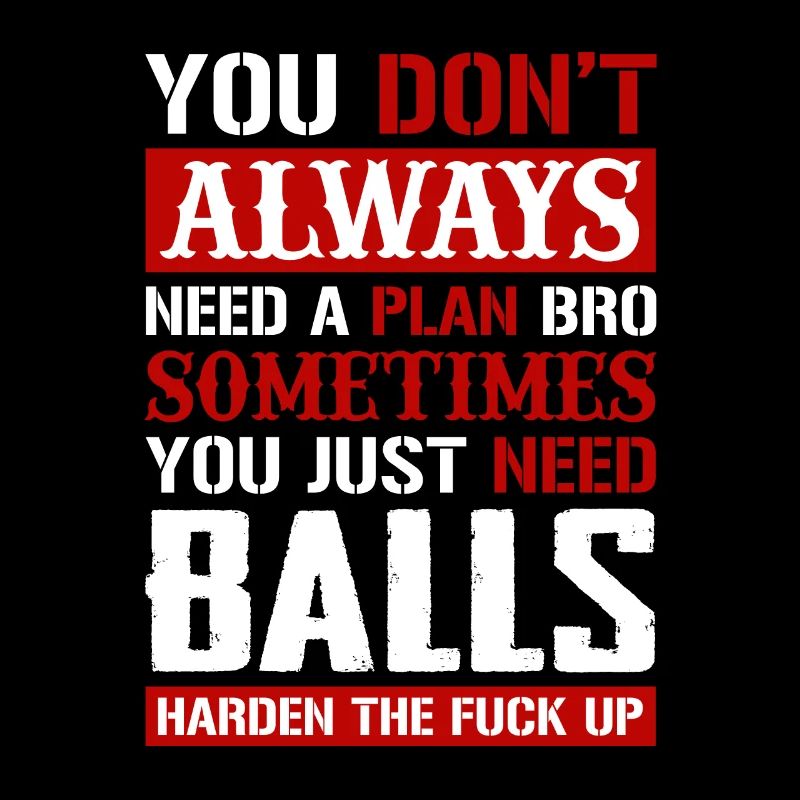 Need A Plan Bro Sometimes You Just Need Balls