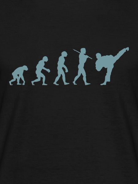 Karate Evolution