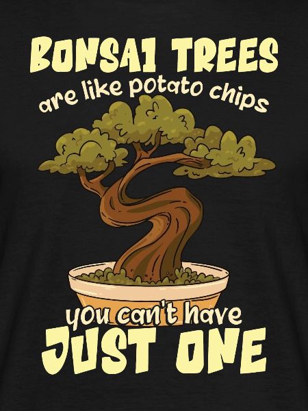Funny Bonsai Tree
