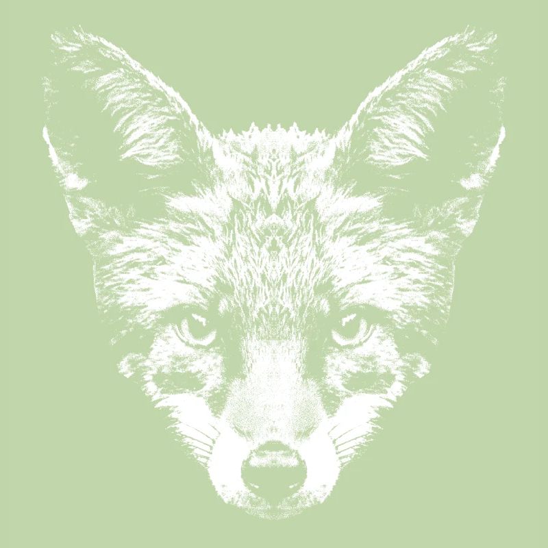 Fox / Fox / Head / Red Fox