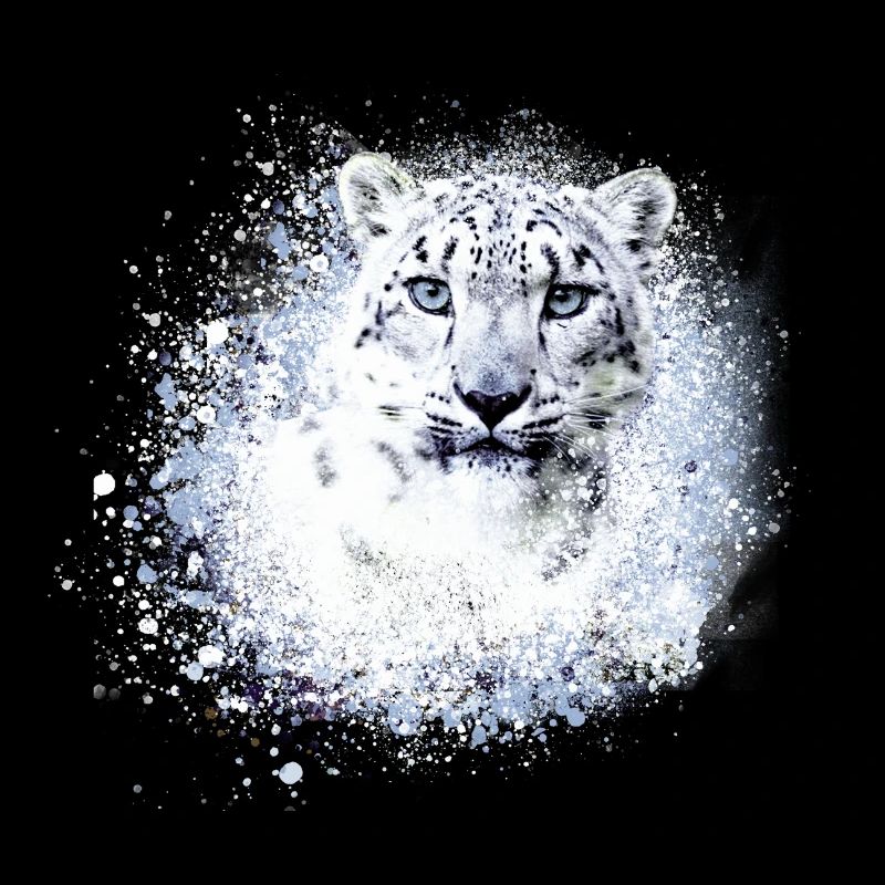 snow leopard,cat,leopard,white,wildcat