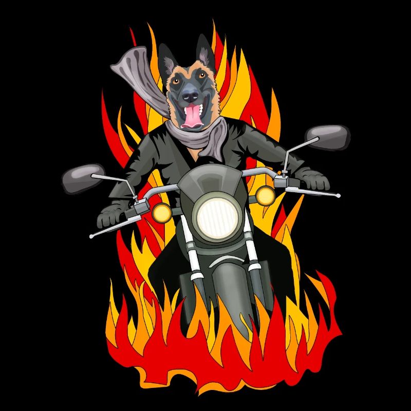 Fire malinois