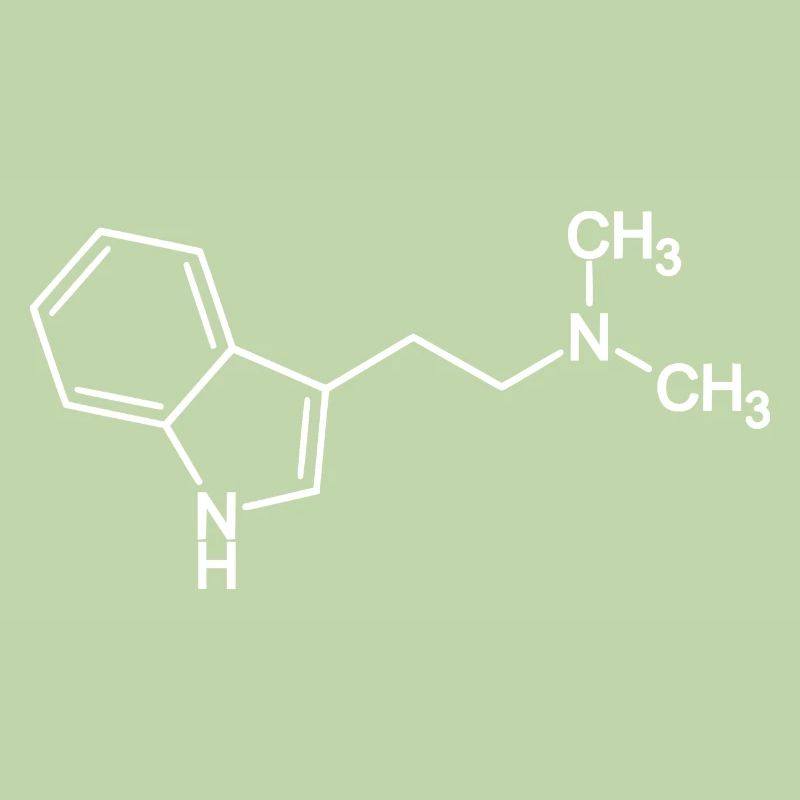 Molécule DMT N, N-Diméthyltryptamine