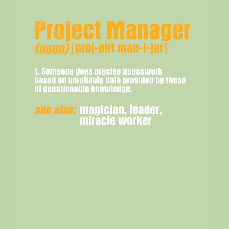 Project manager