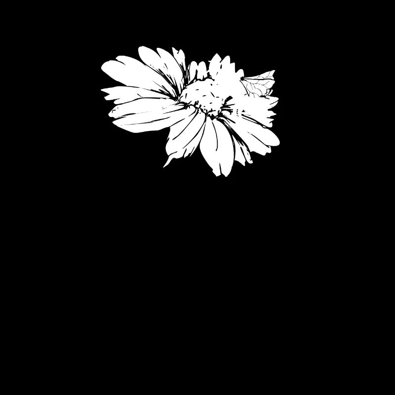 Bee Blossom Honey Bee Chamomile Daisies