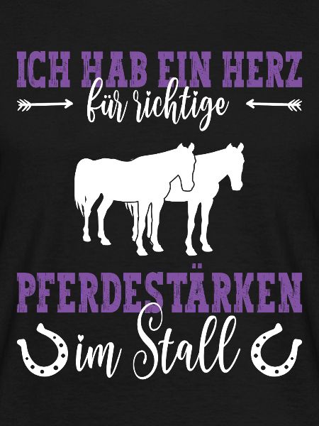 Pferdespruch Shetlandpony