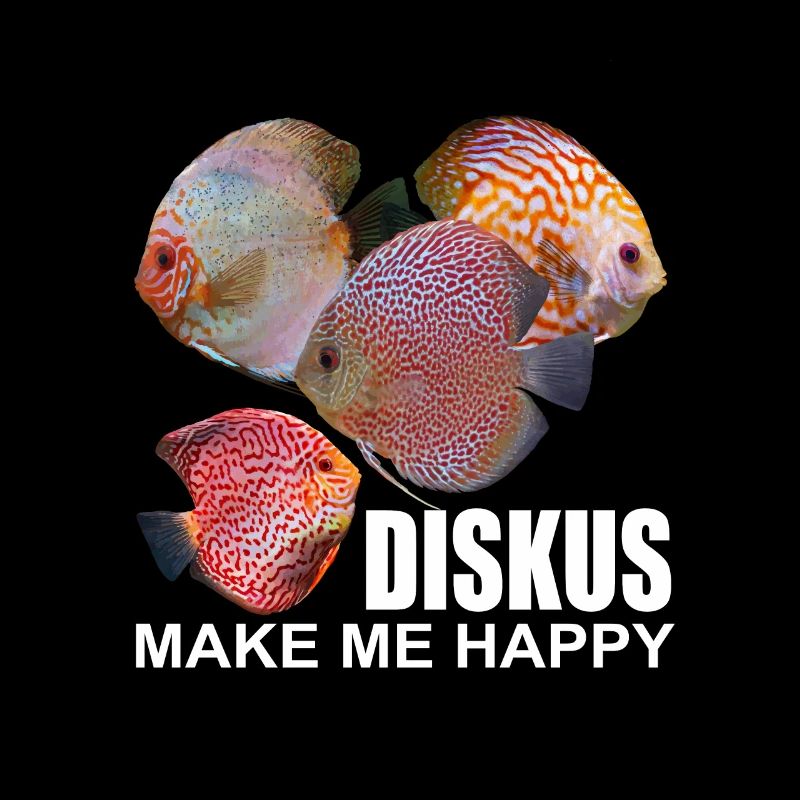 Aquarium Diskusfische machen glücklich