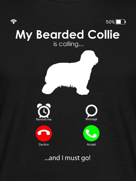 Bearded Collie