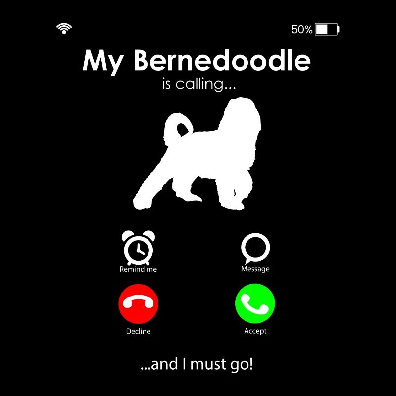 Bernedoodle Chien