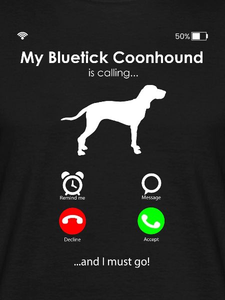 Bluetick Coonhound Chien