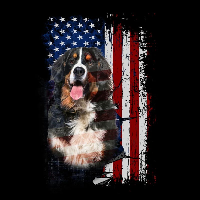 Berner Sennen Hund