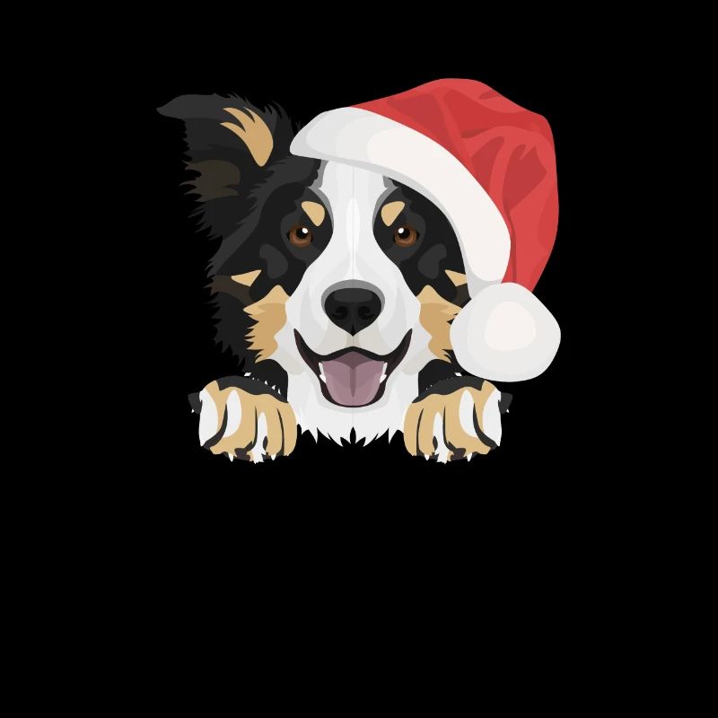 Border Collie Joyeux Noël