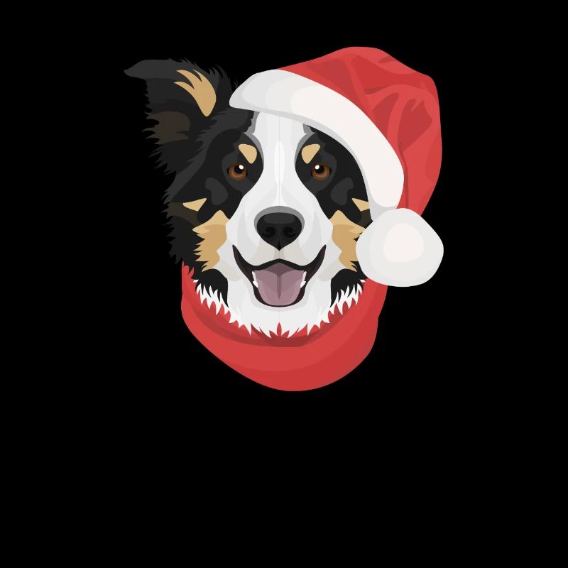 Border Collie Joyeux Noël