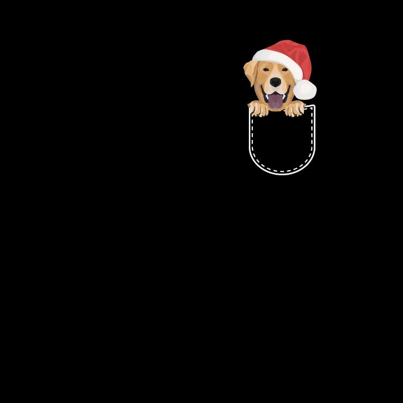 Joyeux Noël Labrador