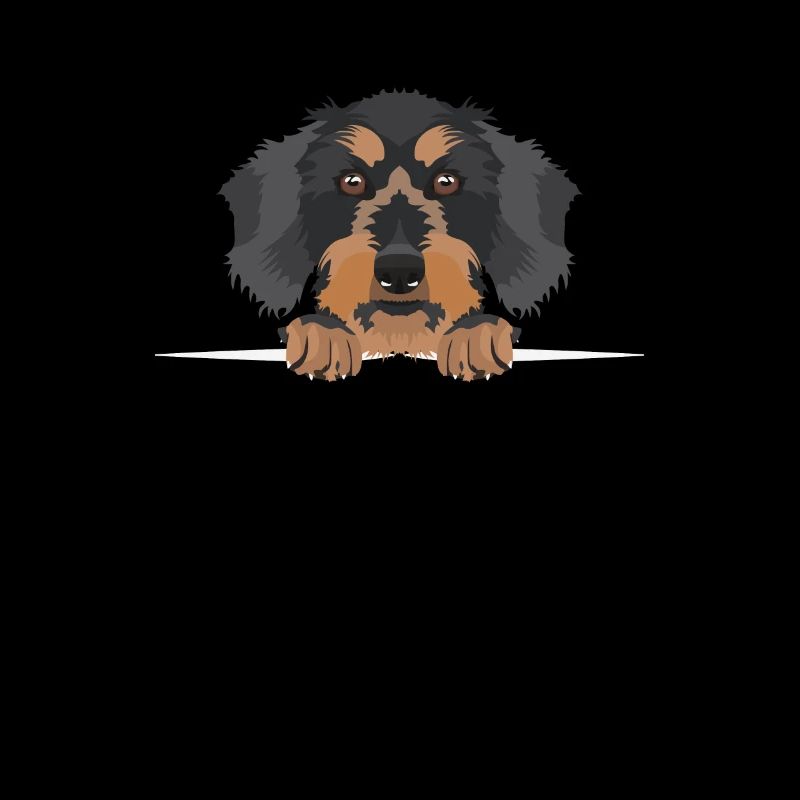 Smiling rough-haired dachshund