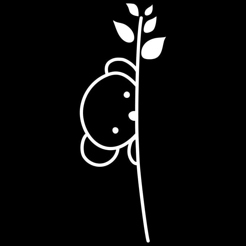 Petit ours derrière une fleur