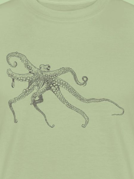 Oktopus