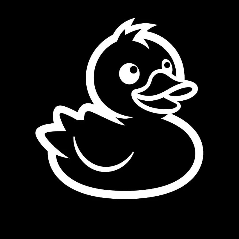 canard coloré