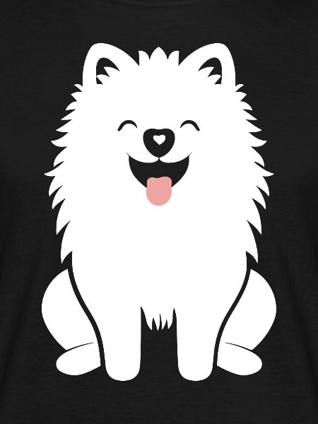 Samoyed