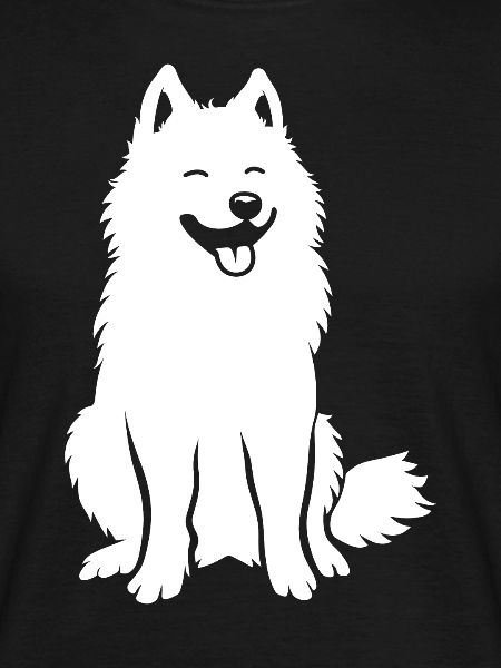 Samoyed