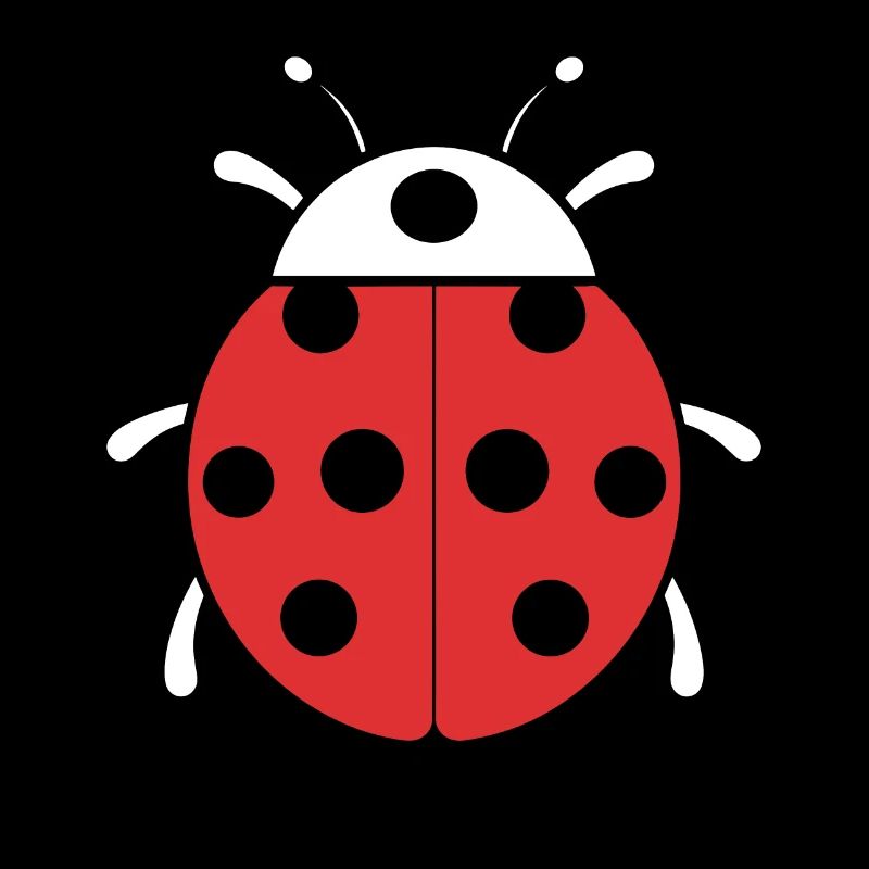 Little Ladybug