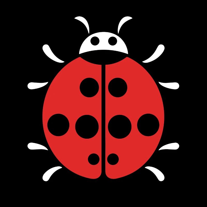 Little Ladybug