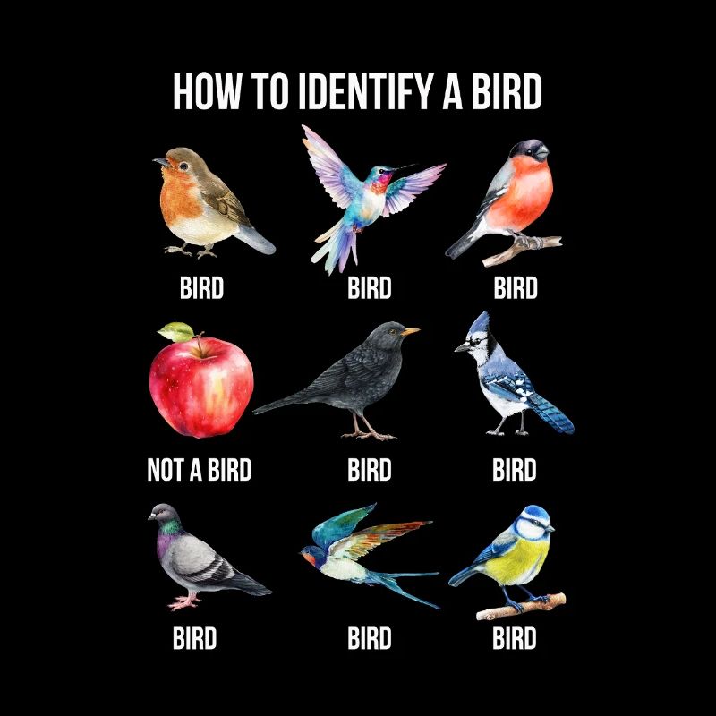 Funny Bird Nerd Design How to Identify a Bird