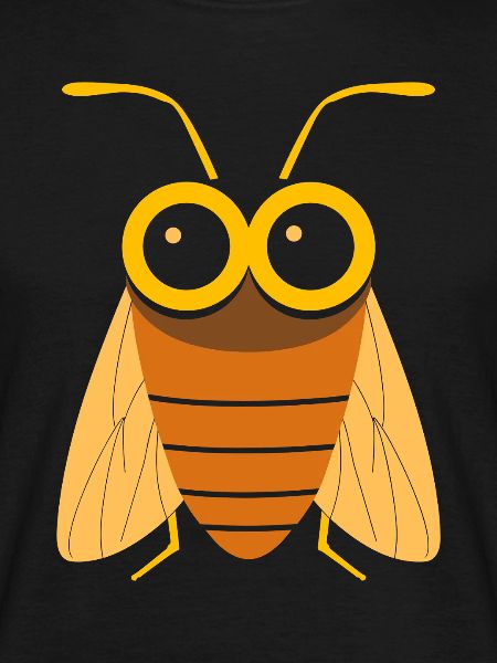 cicada