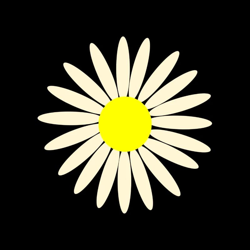 gaensebluemchen