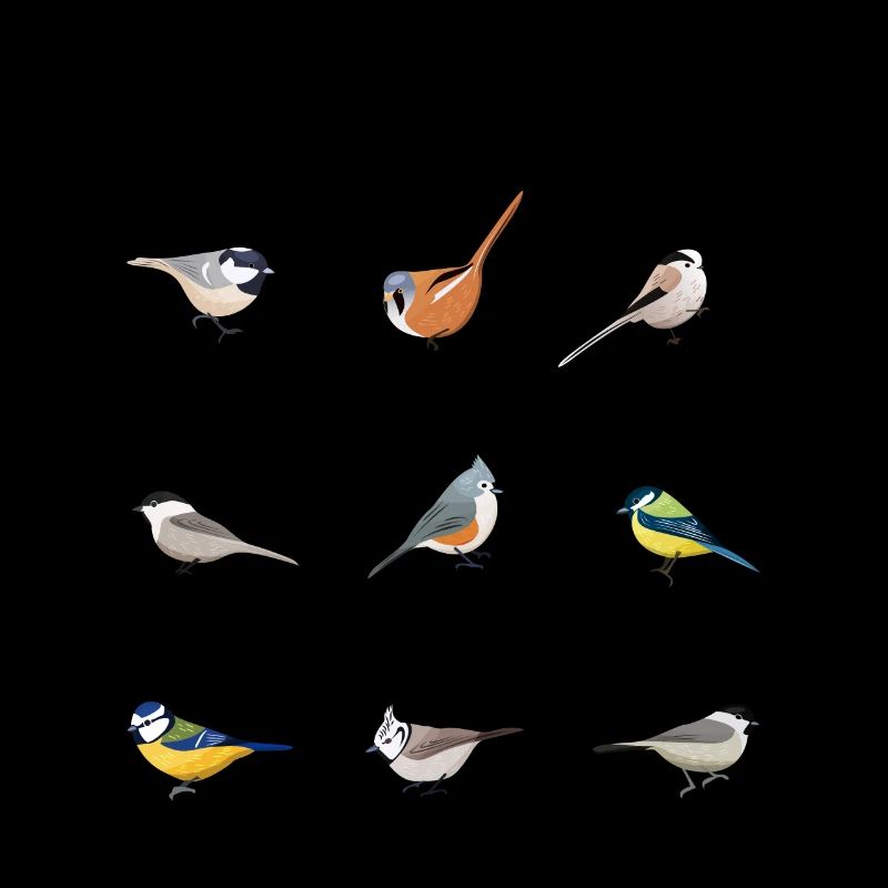 Schöne Titten Tufted Titmouse Vogel beobachten Geschenk lustig