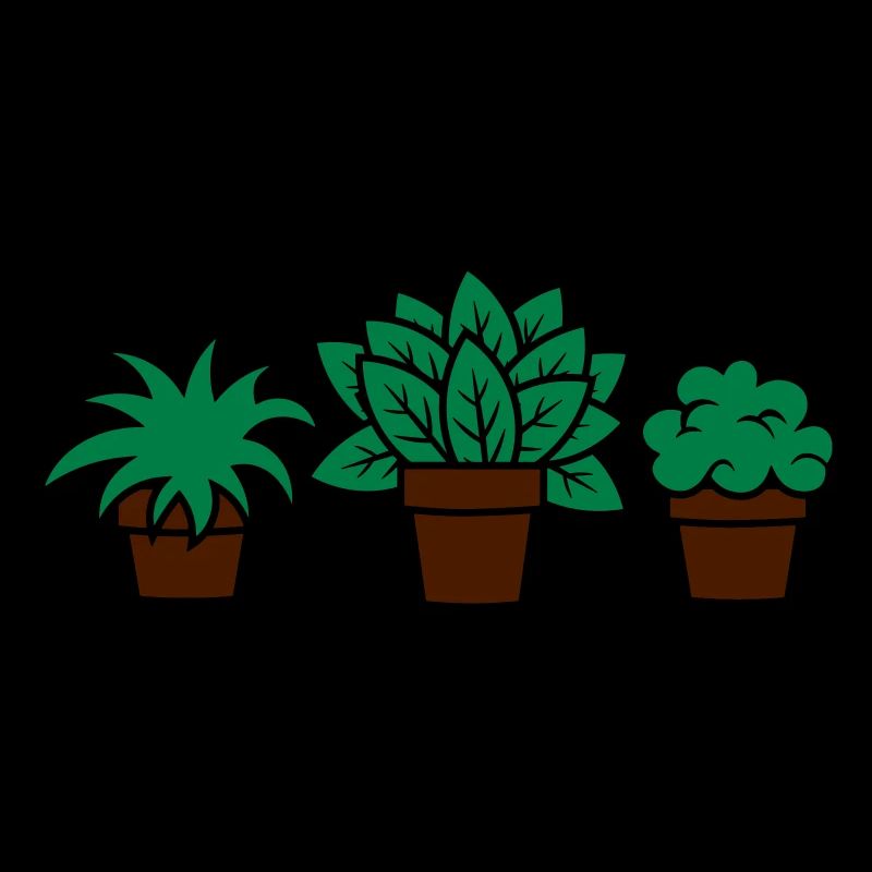Pflanzen plants plante Geschenkidee gift idea