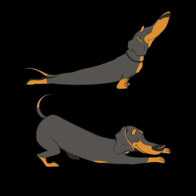 Stretching Dachshund