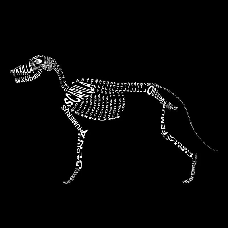 squelette de chien