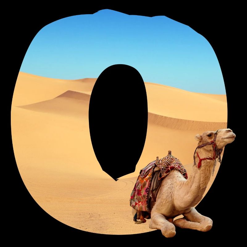 desert with camel o
