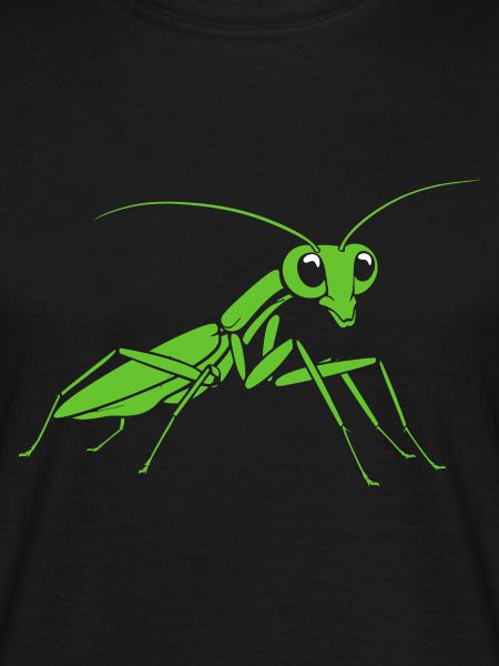 Praying mantis