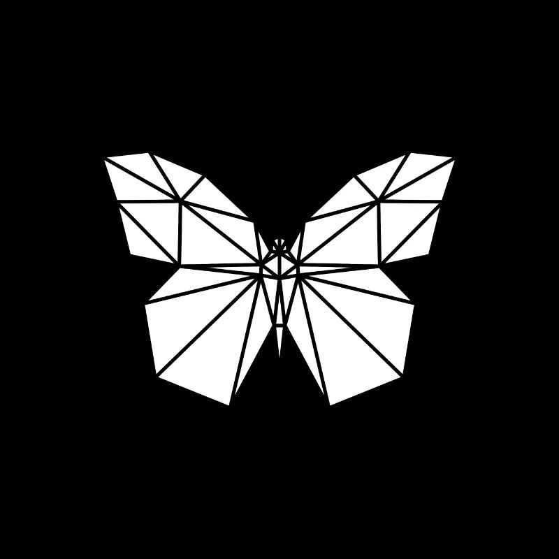 Polygone papillon
