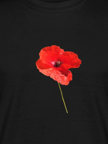Poppy summer spring sun