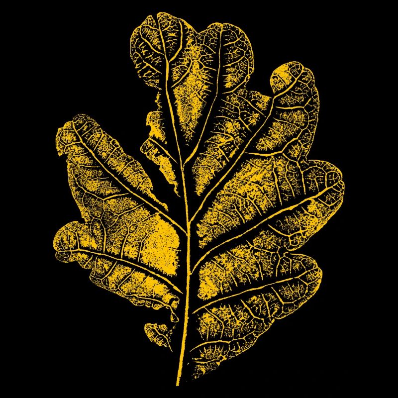 Feuille de chêne / feuille de chêne