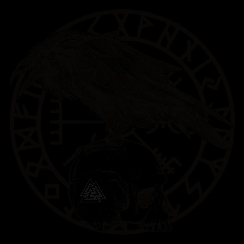 Skull Vegvisir