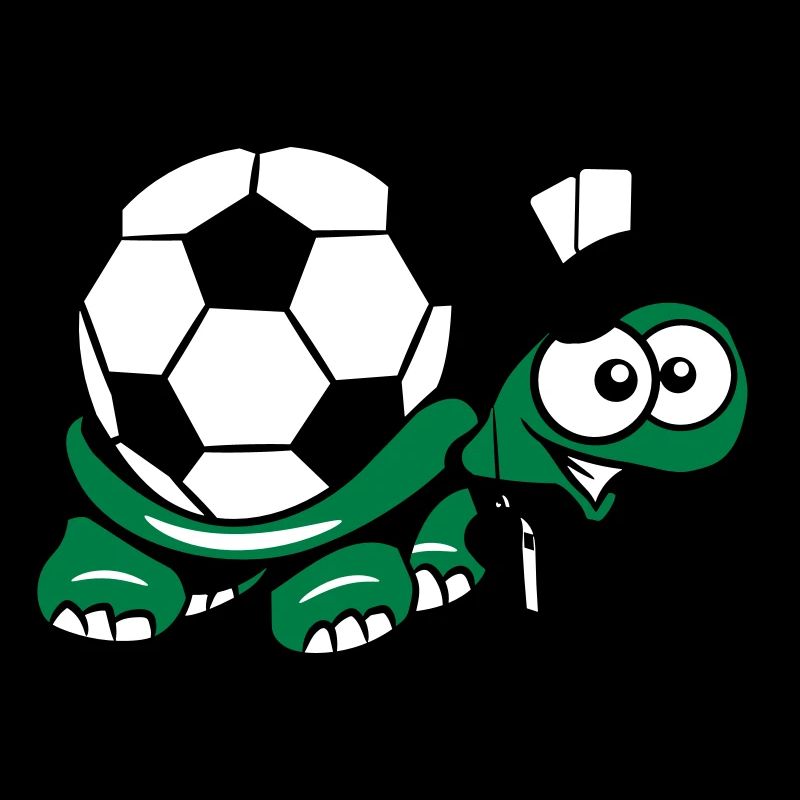Turtle football referee